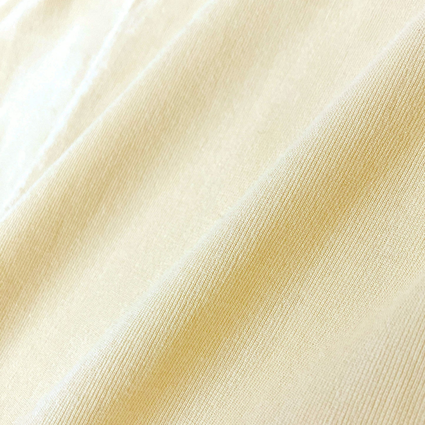 轟木節子ウィングTシャツ(ウィメンズ)_3114860