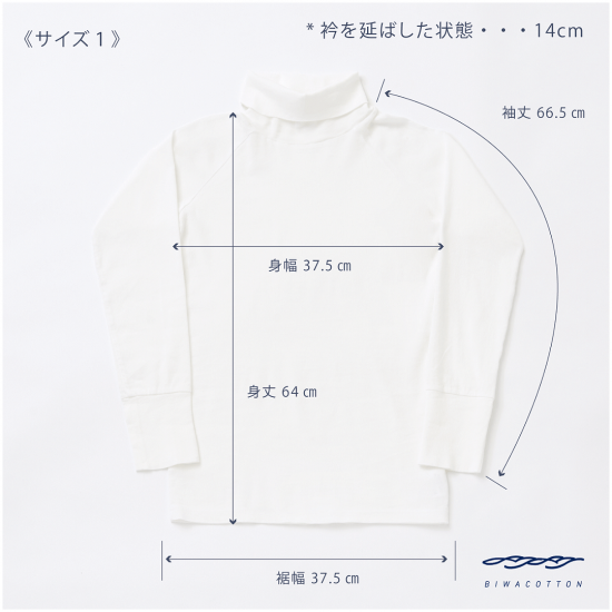 タートルネックラグランスリーブ(ウィメンズ)_3418707