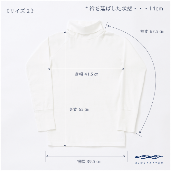 タートルネックラグランスリーブ(ウィメンズ)_3418707